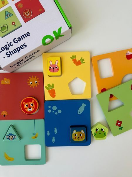 Дерев'яний сортер "Геометричні фігури" TOOKY TOY TH958 фото