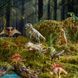 Набор фигурок Динозавры, 24 шт MD1213 фото 7
